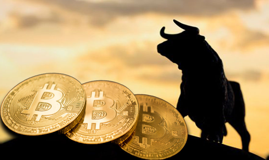 Bitcoin-Bull